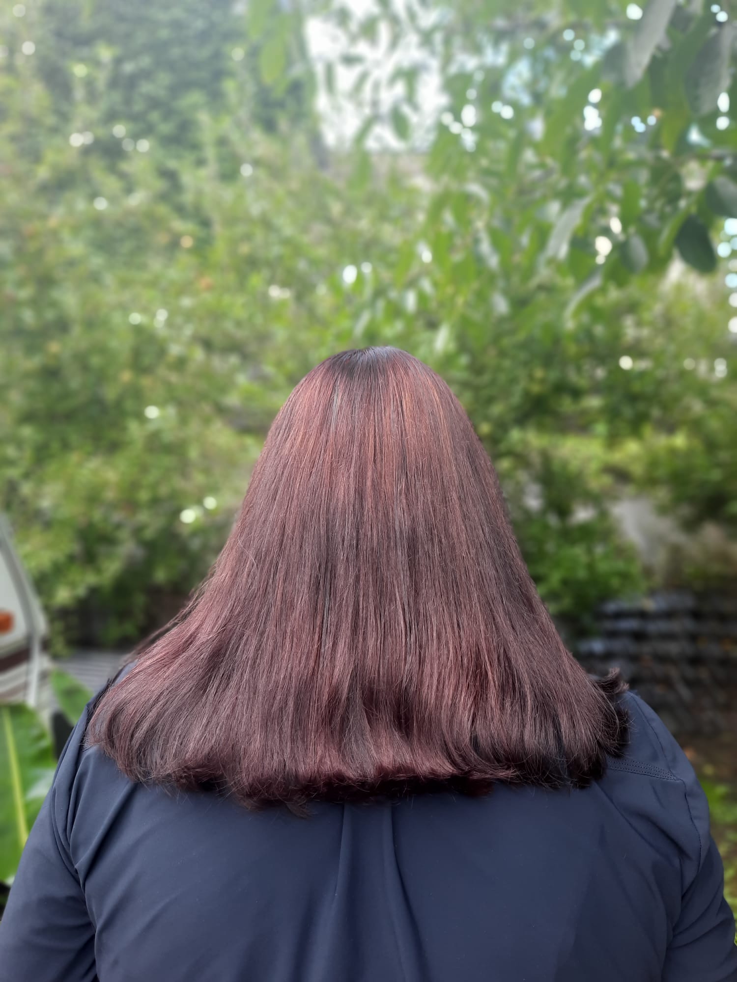 Lang haar in een warme rood-bruine kleur, van achteren gezien